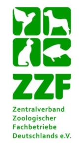 zzf